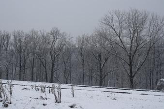 Enlarge photo 60