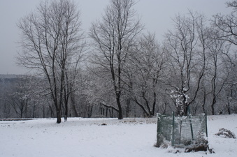 Enlarge photo 61