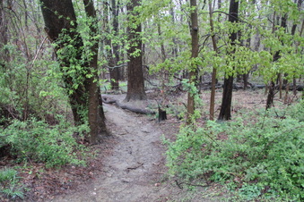 Enlarge photo 4