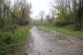 Enlarge photo 2