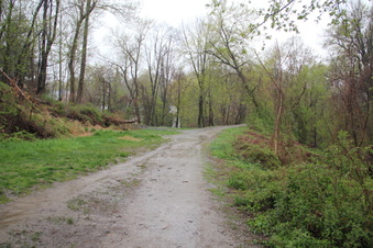 Enlarge photo 3