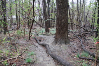 Enlarge photo 5
