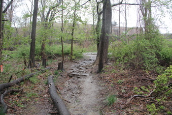 Enlarge photo 6