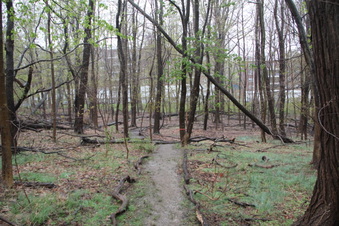 Enlarge photo 7