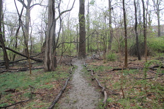 Enlarge photo 8