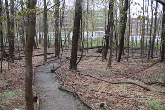 Enlarge photo 9