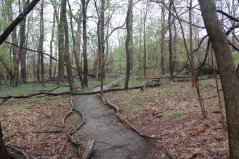 Enlarge photo 10