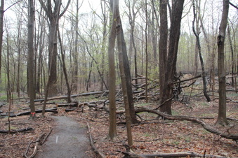 Enlarge photo 13