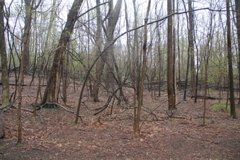 Enlarge photo 18
