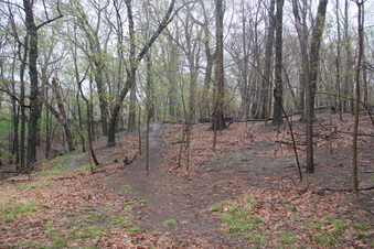 Enlarge photo 19