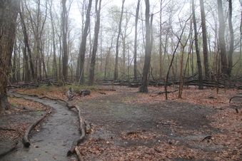 Enlarge photo 21