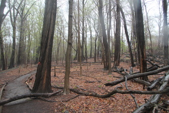 Enlarge photo 22