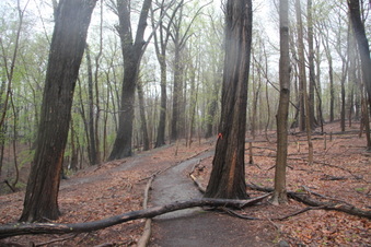 Enlarge photo 23