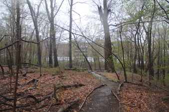 Enlarge photo 25