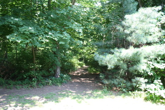 Enlarge photo 28