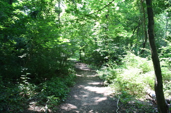 Enlarge photo 29