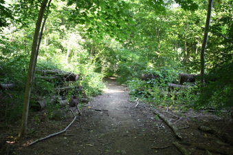 Enlarge photo 30
