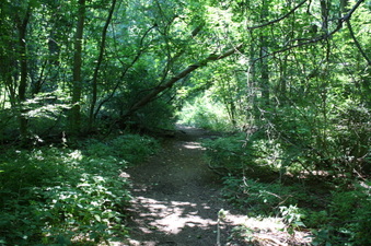 Enlarge photo 31