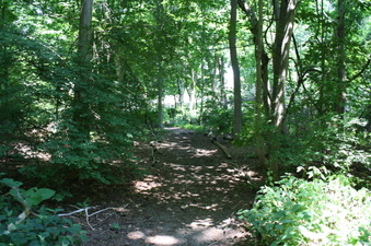 Enlarge photo 32