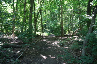Enlarge photo 33