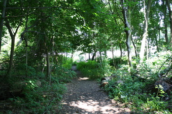 Enlarge photo 34