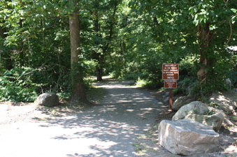 Enlarge photo 36