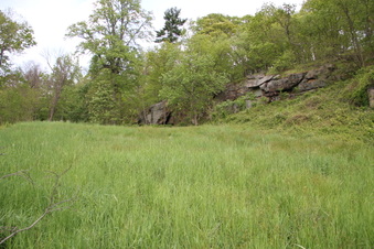 Rockefeller - Rockwood Hall Area