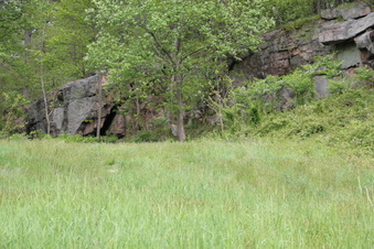 Enlarge photo 62