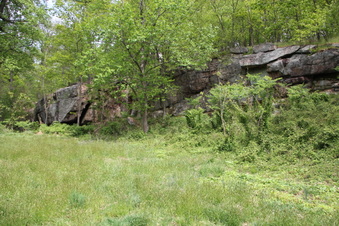 Enlarge photo 60