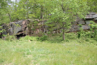 Enlarge photo 63