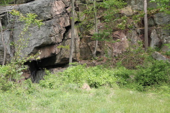 Enlarge photo 64