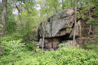 Enlarge photo 5
