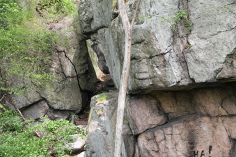 Enlarge photo 66