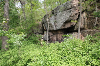 Enlarge photo 7