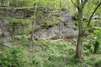 Enlarge photo 68