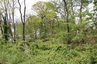 Enlarge photo 11