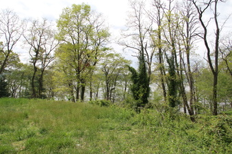 Enlarge photo 72