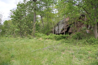 Enlarge photo 74