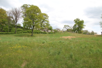 Enlarge photo 14