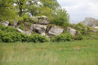 Enlarge photo 16