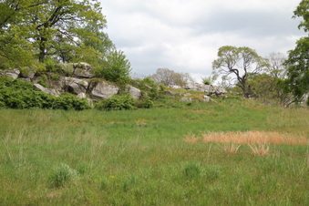 Enlarge photo 17