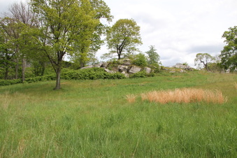 Enlarge photo 18
