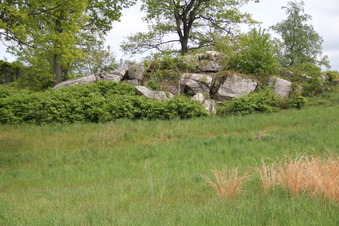 Enlarge photo 19