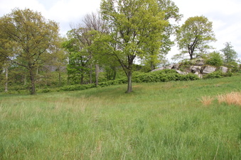 Enlarge photo 20