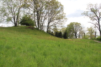 Enlarge photo 22