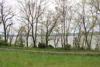 Enlarge photo 23