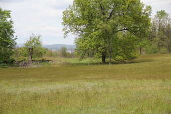 Enlarge photo 25