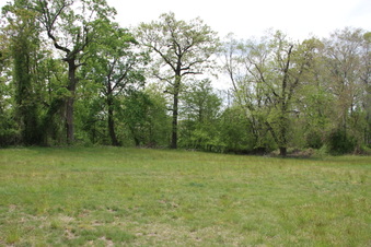 Enlarge photo 29