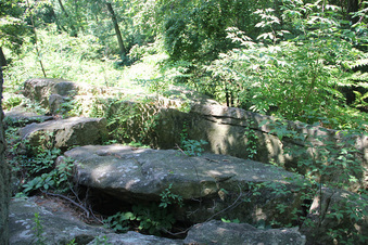 Enlarge photo 34
