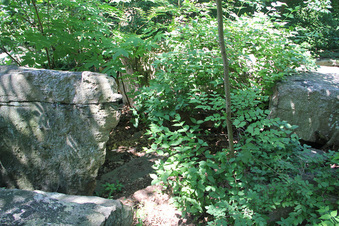 Enlarge photo 36